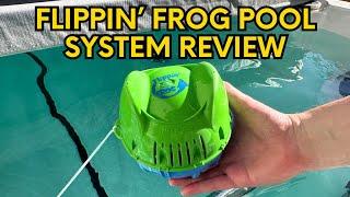 Review: Flippin’ FROG Complete Pool Sanitizing System for Pools/Swim Spas 2,000 – 5,000 gallons