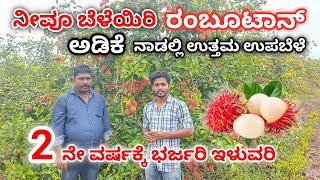 ರಂಬೂಟಾನ್- ಸುಲಭವಾಗಿ ಬೆಳೆಸಿ, ಲಕ್ಷ ಗಳಿಸಿ. Rambutan farming ideas.