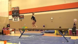 Brooke Fisher Level 10 St  Charles, Beam 2015ILState