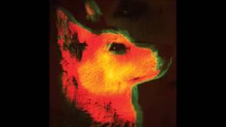 MALADE[S] - Endless Nights [Planète Sauvage]