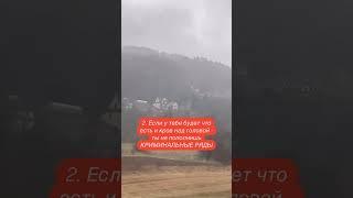 Зачем помогать мигранта