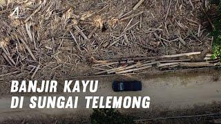 Banjir kayu landa Sungai Telemong