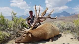 Archery and Rifle Tule Elk Hunt in California - Chuck Trover - MossBack