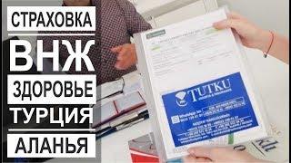 Турция: Важно знать всем. Страхование здоровья, жилья, машины в Аланье