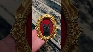 Custom pet portraits by New York based artist Gulchik Art, and free painting process video.