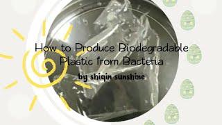 Bio Eco Friendly Plastic from Polyhydroxyalkanoates (PHA)