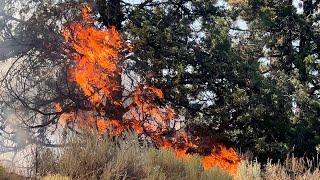 Brush fire closes part of Empire Avenue as flames can be seen on a power pole