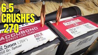 6.5prc vs. .270win vs. Pork Shoulders Nosler 150gr ABLR