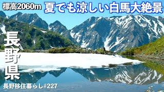 【長野移住】車とゴンドラで簡単アクセス!!標高2000mは涼しくて最高だった!!｜白馬村｜八方池｜ドライブ｜田舎暮らし｜長野県｜4K