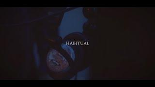 Justin Bieber - Habitual (Psvlm Cover)