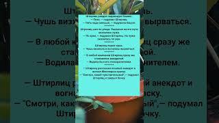 Анекдоты, которые смешат до слёз  Спасибо за  и подписку ️ #юмор