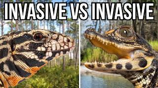 8 Invasive Species That Battle And Prey On Other Invaders