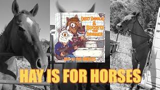 Hay Is For Horses [Official Music Video] - Dusty Douglas & Buckets the Drummer