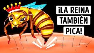 ¿Son más peligrosas las picaduras de la abeja reina? (Lo hemos descubierto)