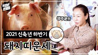2021년 신축년 하반기 띠별 운세: 돼지띠 '9, 10월 시험운!' 합격운을 대~폭 올려주는 시험 합격 비방법 공개!
