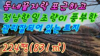 (토지220216) 밀양시 상동면 동네끝자락 포근하고 정남향 일조량이 풍부한 토지 #밀양토지매매 #밀양부동산 #밀양임야매매 #밀양전원주택매매 #밀양촌집매매 #청도토지매매 #밀양촌집