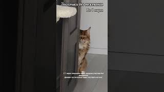 26 февраля 2025 г.