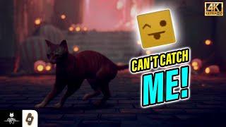 QUICK GUIDE: How to unlock the Can't Catch me Trophy in Stray  | Stray Trophy Guide