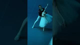 Мария ВиноградоваДенис Родькин #giselle #ballet словно их души соприкасаются в этом нежном адажио