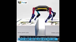 Unleash Joy in 2023 with Petoi Bittle: Open Source Robot Dog & Programmable STEM Kit