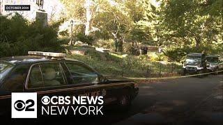 Robert Kennedy Jr. claims responsibility for dead bear found in Central Park in 2014