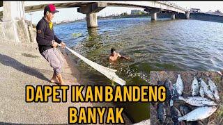 Njala ikan di sungai taiwan dapet banyak ikan bandeng