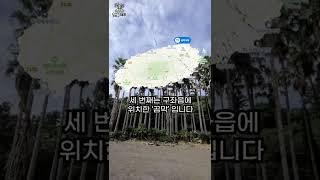 제주에서 실패 없는 맛집 10곳 1부