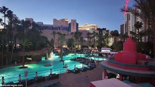 Flamingo Casino Las Vegas: A Visual Journey Through Vegas' Iconic Gaming Destination
