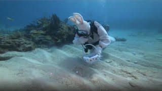 Ostereiersuche unter Wasser an der Küste Floridas