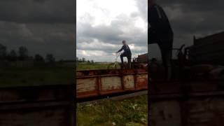 Смех по взрослому
