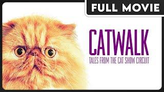 Catwalk: Tales from the Cat Show Circuit | Prize Winning Cats & Kittens | FULL DOCUMENTARY