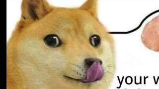 Smooth Brain Doge