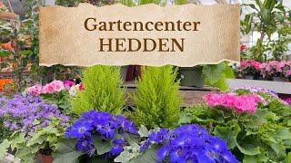 Садовый центр HEDDEN с новым ассортиментом  Gartencenter Hedden 