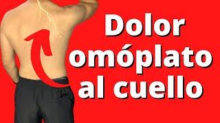 Dolor del omóplato y cuello