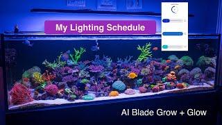 My Ultimate Light Schedule - AquaIllumination Blade Grow and Glow