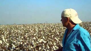 Buddy Huggins Standing in High Cotton