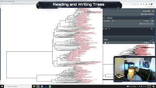 Intro to Bioinformatics - Treeio - VDB Computational Biology