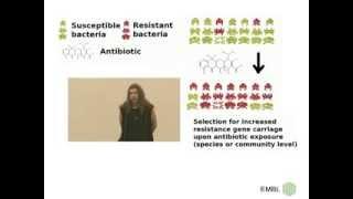 BIOESSAYS (Wiley): Metagenomic insights into the human gut resistome and the forces that shape it