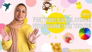 First Words, Colors, Animals in Urdu for Babies and Toddlers | Learning Urdu Kids