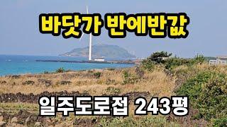 경매 제주시 한경면 판포리 일주도로접 243평 010 4436 0401 제주도부동산 토지 매매 급매물