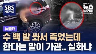 무고한 강아지들에게 비비탄 난사에 이어 협박까지? / SBS / 뉴블더