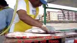 Mojarras Productos Balanceados