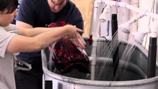 Hydro Dipping by Voyles Performance and HydroGraphics