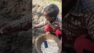 little farmer#shorts #funnyvideo #ridusaddu