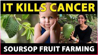 Soursop Fruit Farming | Natural medicines for Cancer