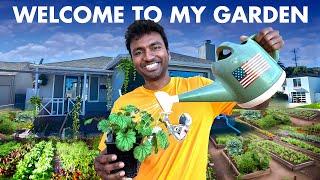  Vegetable Garden Tour in USA 