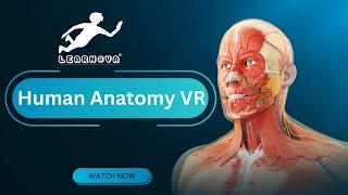 LEARNOVA - VR HUMAN ANATOMY | VR & AR Academy | Virtual Vickram