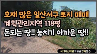 [#168] 호재 많은 일산서구 토지 매매!!