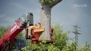 MAGNI Telescopic handler with tree attachment