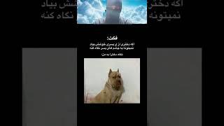 ری اکت به میم قسمت 116 #میم #خندارترین #باحال #خنده #memes #funny 